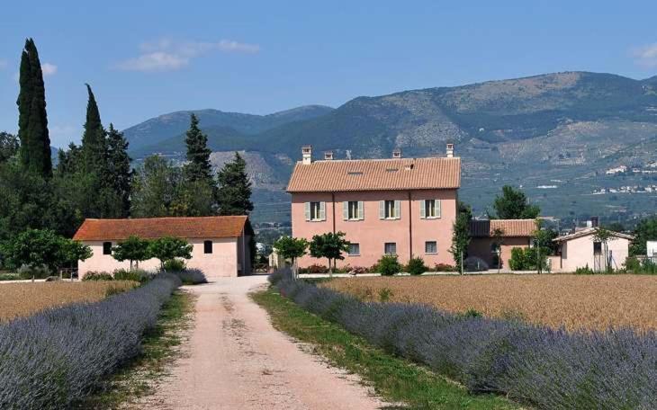 Country House Casco Dell'Acqua Trevi Ngoại thất bức ảnh