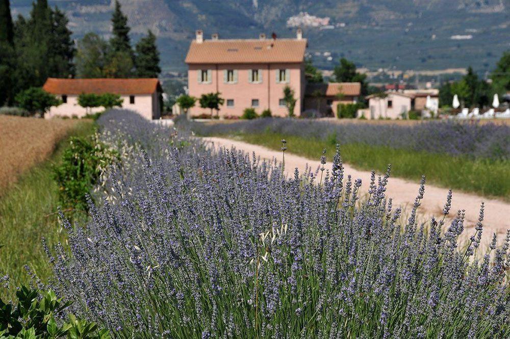 Country House Casco Dell'Acqua Trevi Ngoại thất bức ảnh