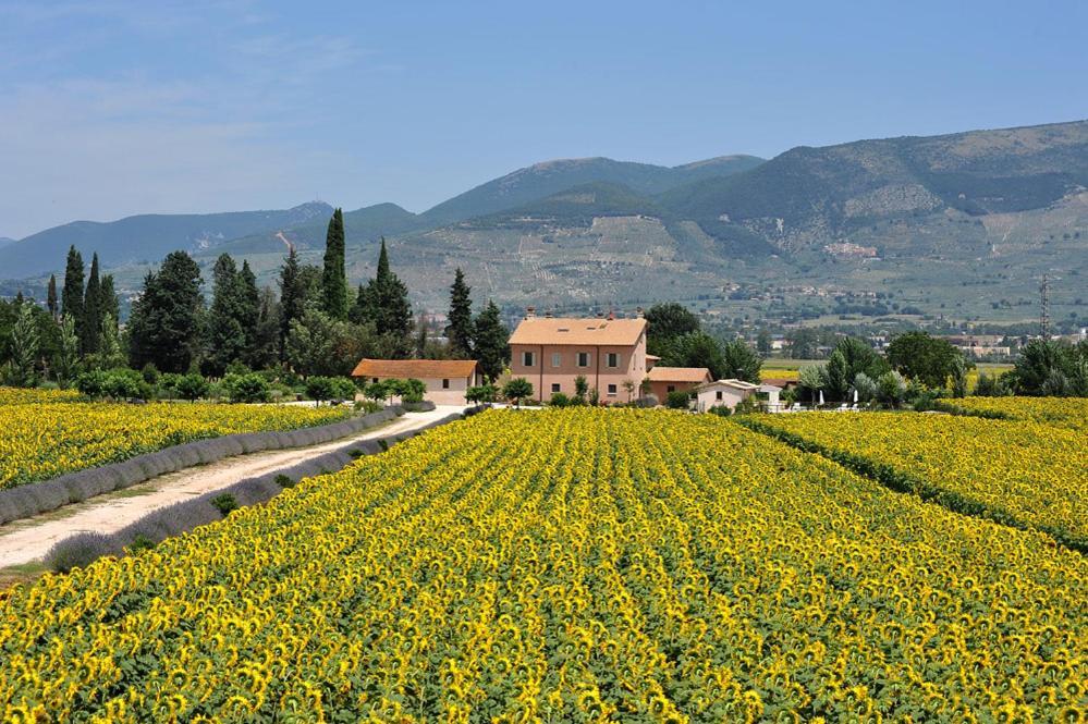 Country House Casco Dell'Acqua Trevi Ngoại thất bức ảnh